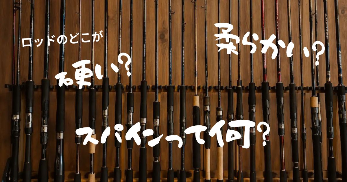 ロッドが並んだアイキャッチ画像